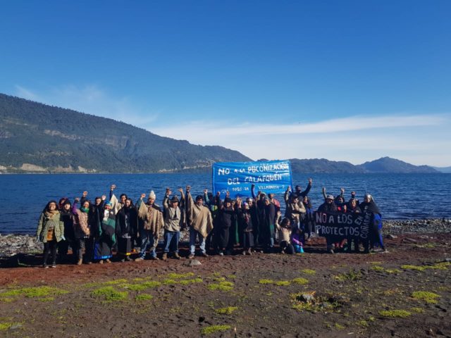 Panguipulli: Comunidades informan a instituciones desición de  protección de itrofill mongen y prohibición de naves con motores en Lago Kalafken