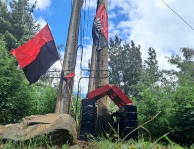Temuco: Comunidad conmemora a Aracely Romo y Pablo Vergara en acto de memoria en el Cerro Mariposa Derechos Humanos