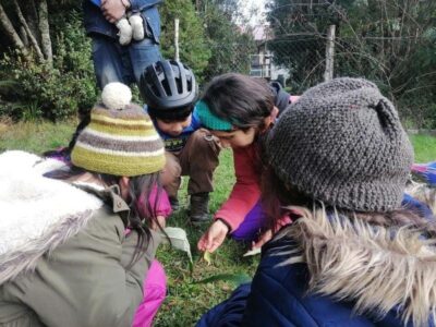 Epew Pichikeche inicia proyecto para la mediación de historias y artes ancestrales en San Juan de la Costa Cultura y Contracultura